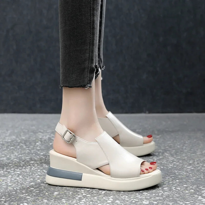 Heightened Platform Shoes